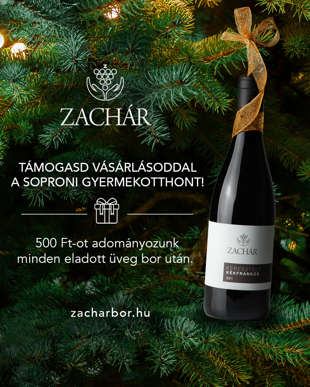 Egy Palack Szeretet